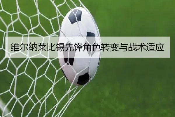 维尔纳莱比锡先锋角色转变与战术适应